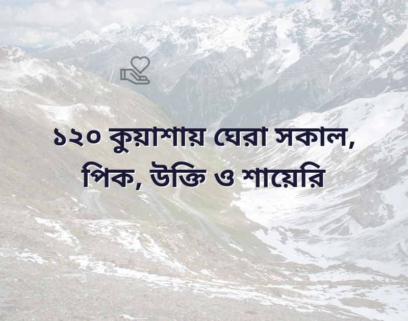 কুয়াশায় ঘেরা সকাল
