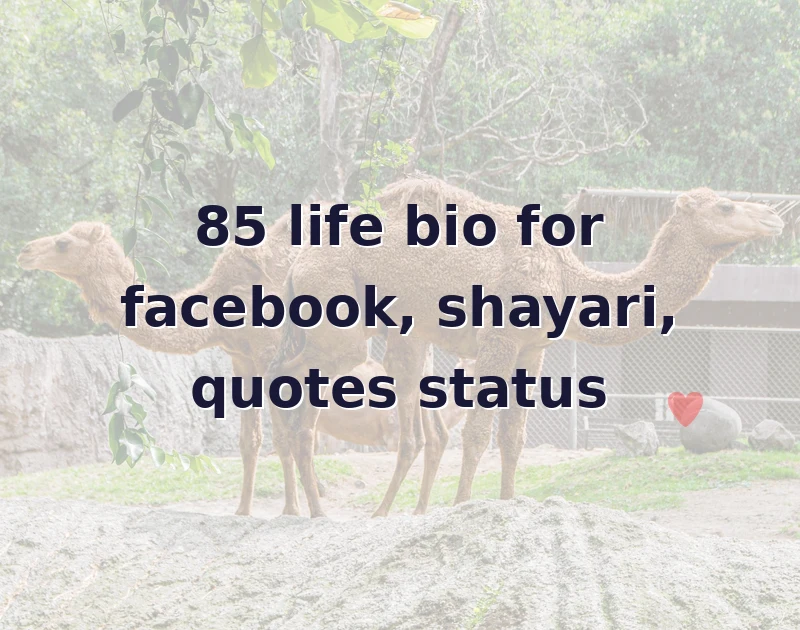 life bio for facebook
