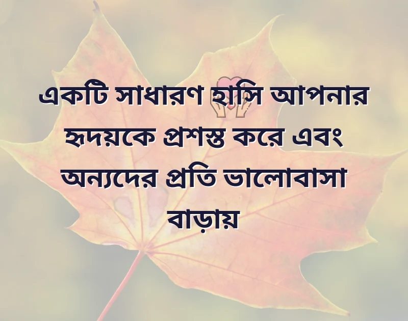 দারুণ একটি ছবি