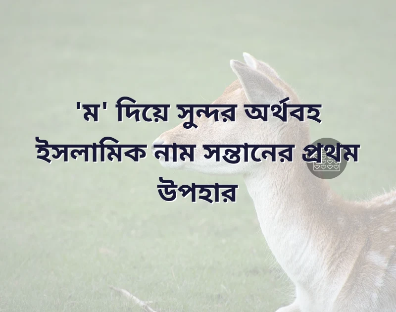 ম দিয়ে মেয়েদের নাম ইসলামিক