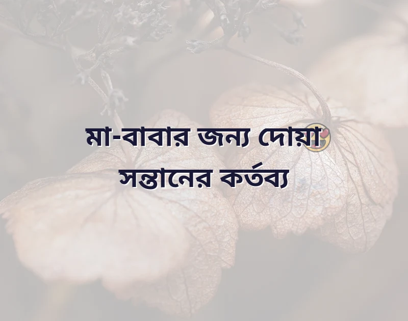 মা বাবাকে নিয়ে ইসলামিক উক্তি