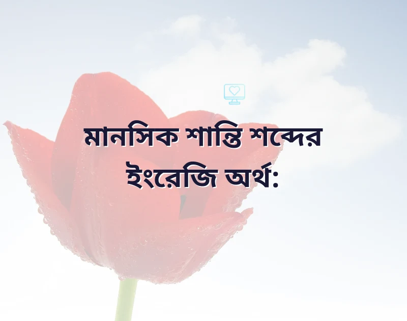 মন ছুঁয়ে যাওয়া ছবি