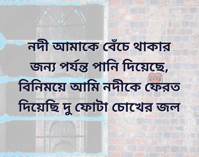 শেয়ার করার মতো ছবি