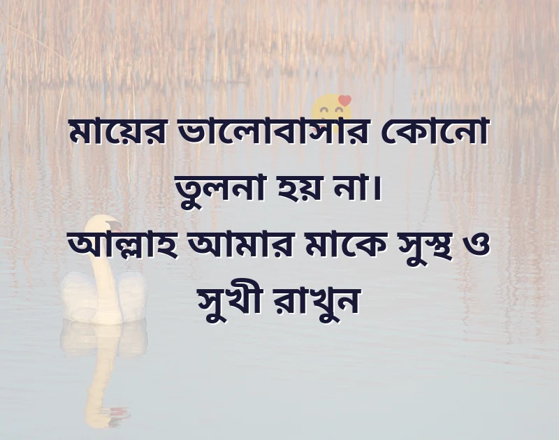 মাতৃ দিবসের শুভেচ্ছা