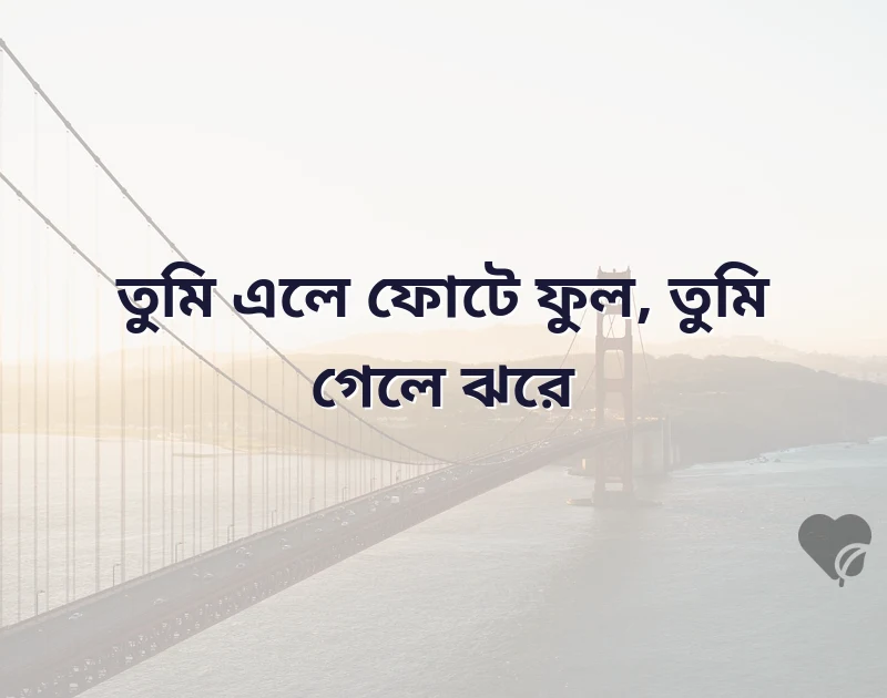 মিষ্টি প্রেমের কবিতা রোমান্টিক ভালোবাসার ছন্দ