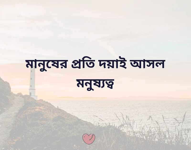সুন্দর একটি ছবি