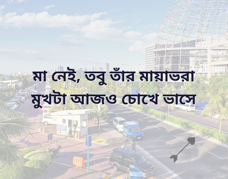 শেয়ার করার মতো ছবি