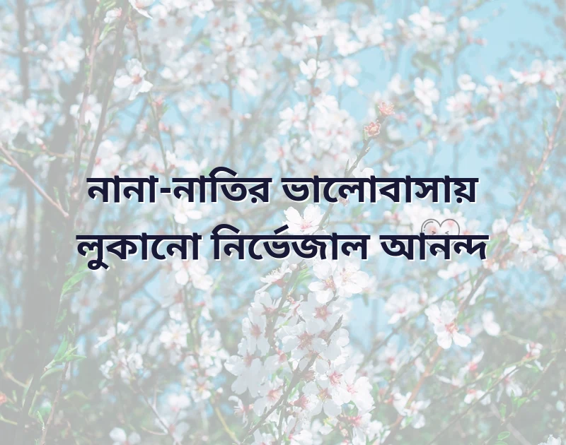 নানা নাতির ভালোবাসা উক্তি