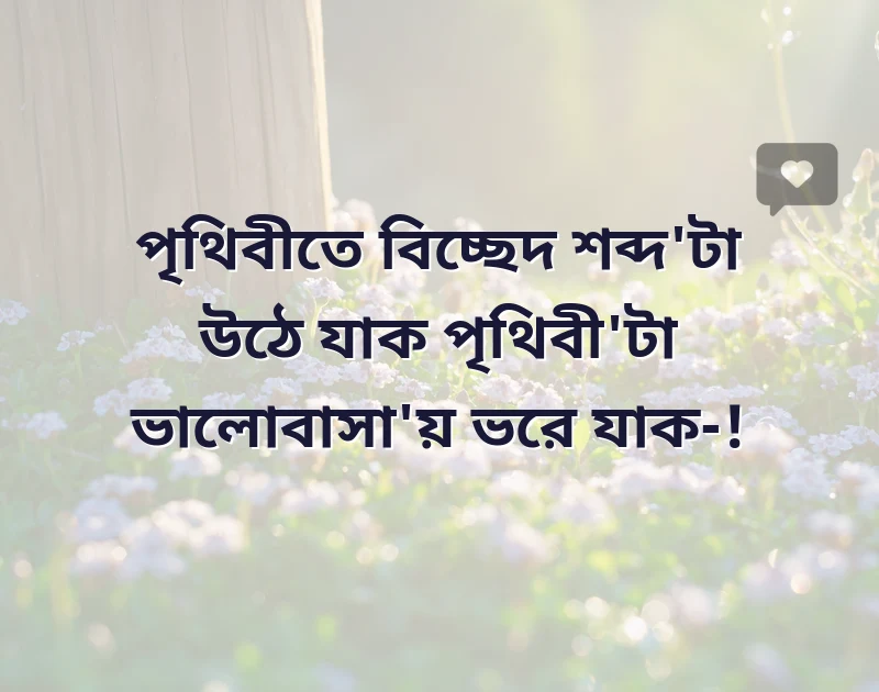 দারুণ একটি ছবি