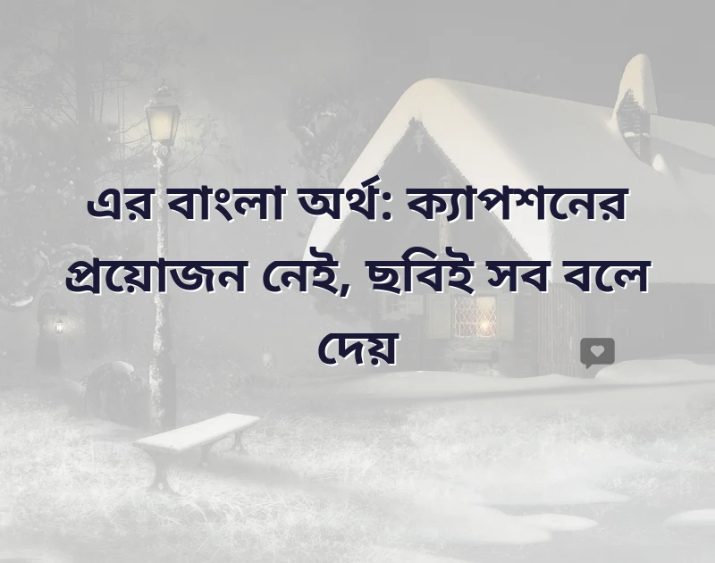 মন ছুঁয়ে যাওয়া ছবি
