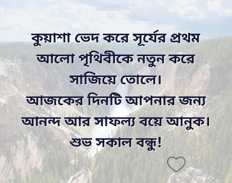 পছন্দের একটি ছবি
