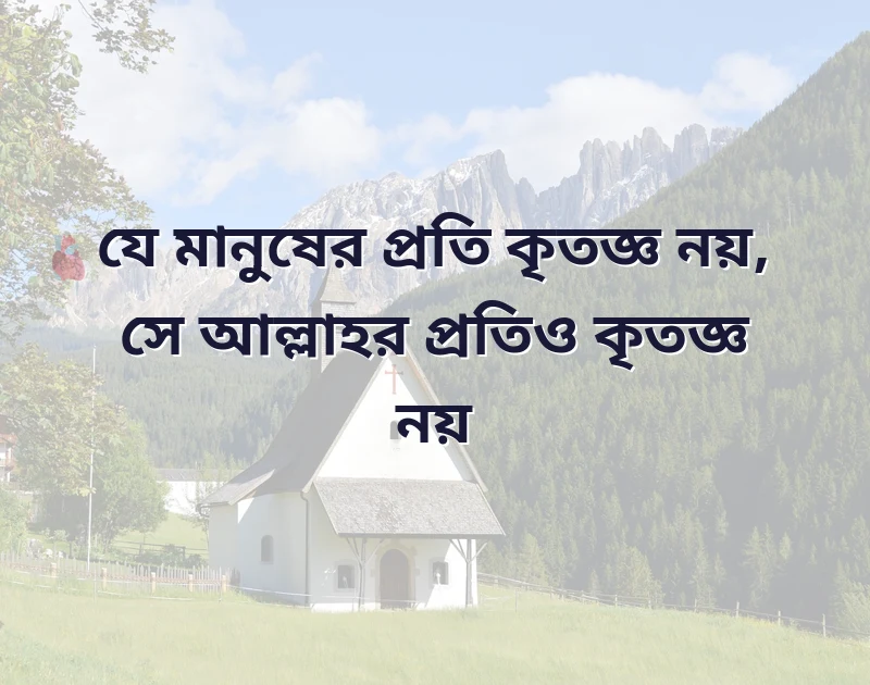 সুন্দর একটি ছবি