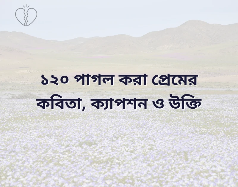 পাগল করা প্রেমের কবিতা