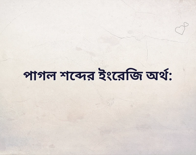 পাগল meaning in english