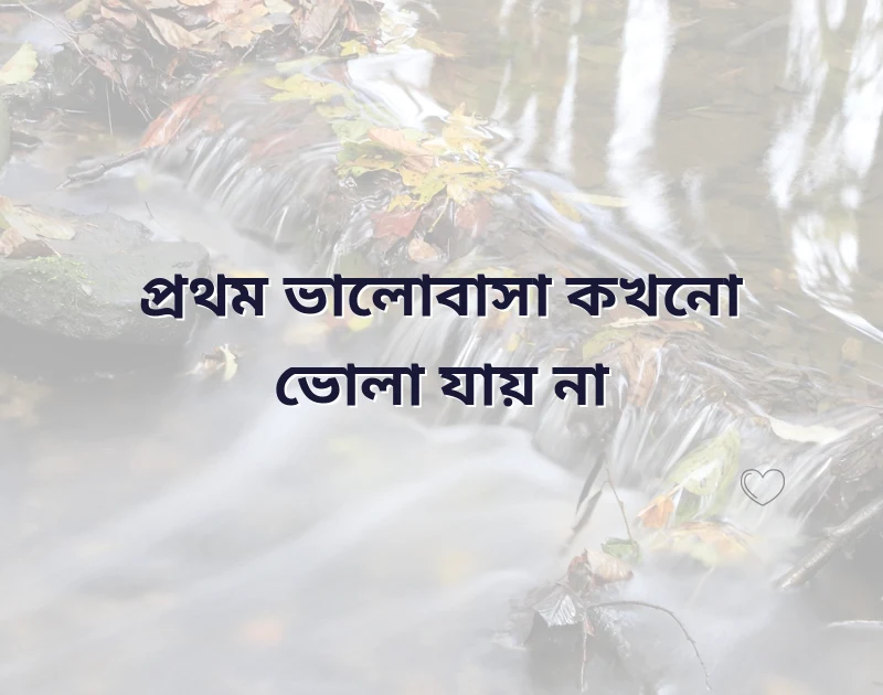 প্রথম ভালোবাসা নিয়ে উক্তি