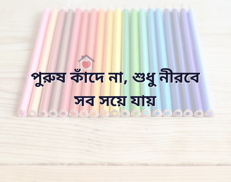 পছন্দের একটি ছবি