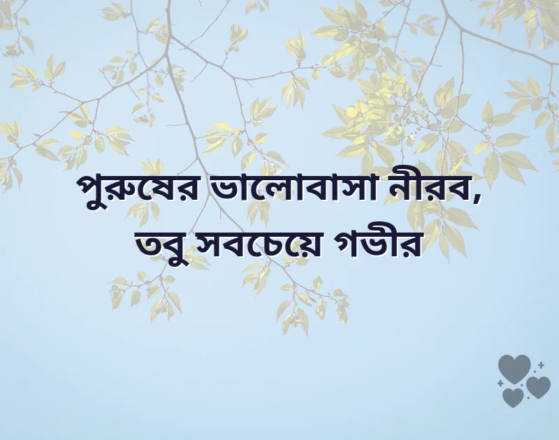 দারুণ একটি ছবি