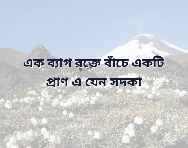 আকর্ষণীয় একটি ছবি