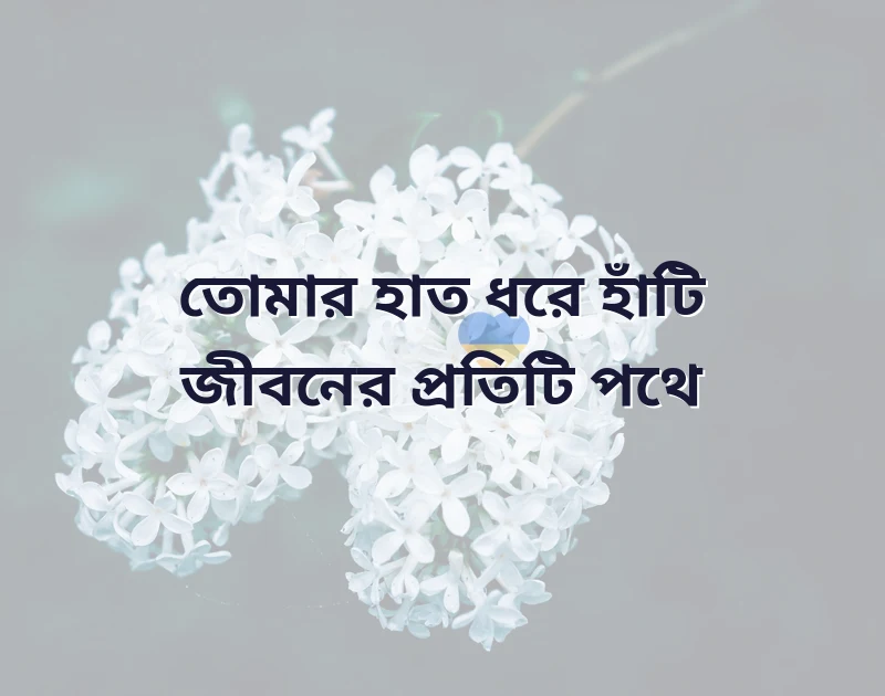 সুন্দর একটি ছবি