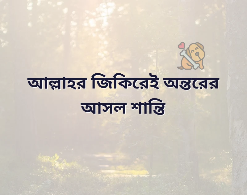 শেয়ার করার মতো ছবি