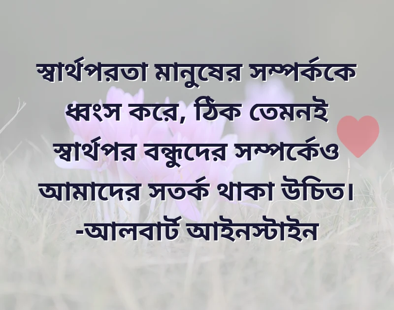 দারুণ একটি ছবি