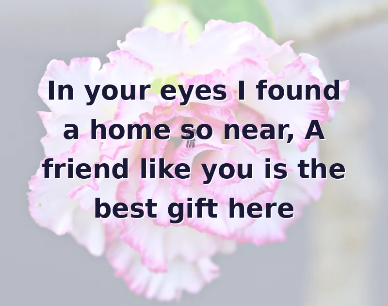shayari friend