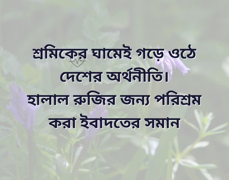পছন্দের একটি ছবি