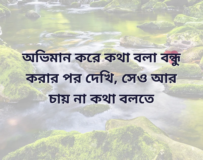 শুভ জন্মদিন বন্ধু