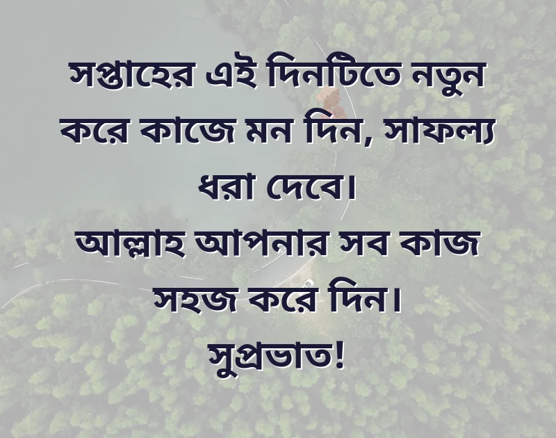 সুন্দর একটি ছবি