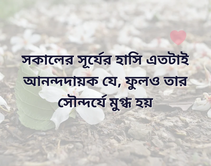 মন ছুঁয়ে যাওয়া ছবি