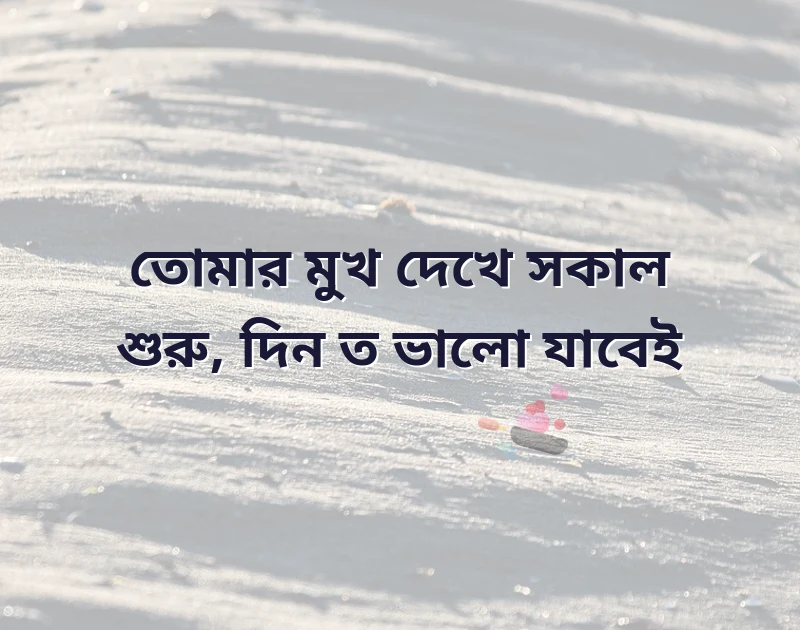 শুভ সকাল স্ট্যাটাস বাংলা