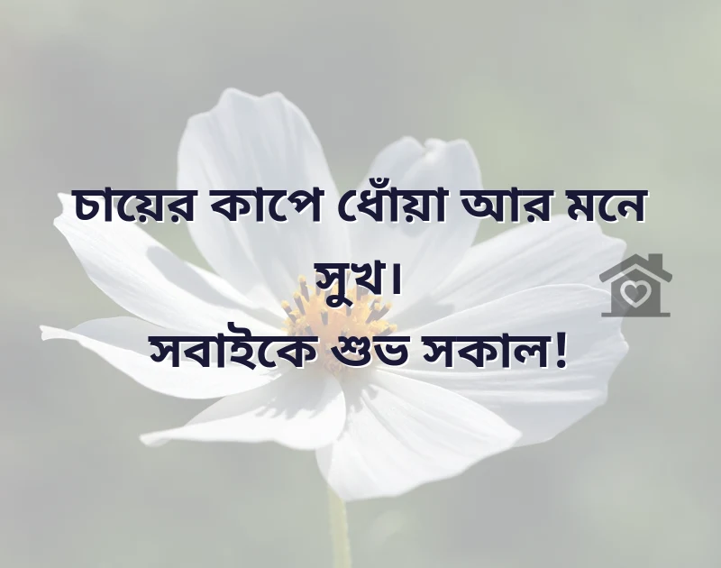 আকর্ষণীয় একটি ছবি