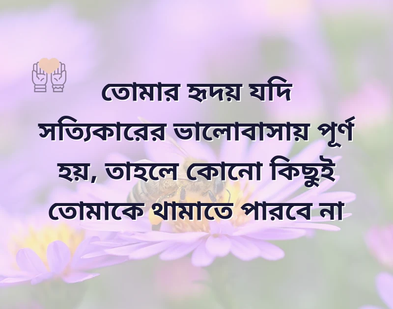শেয়ার করার মতো ছবি