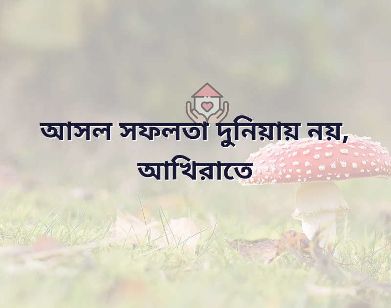 সফলতার ইসলামিক উক্তি