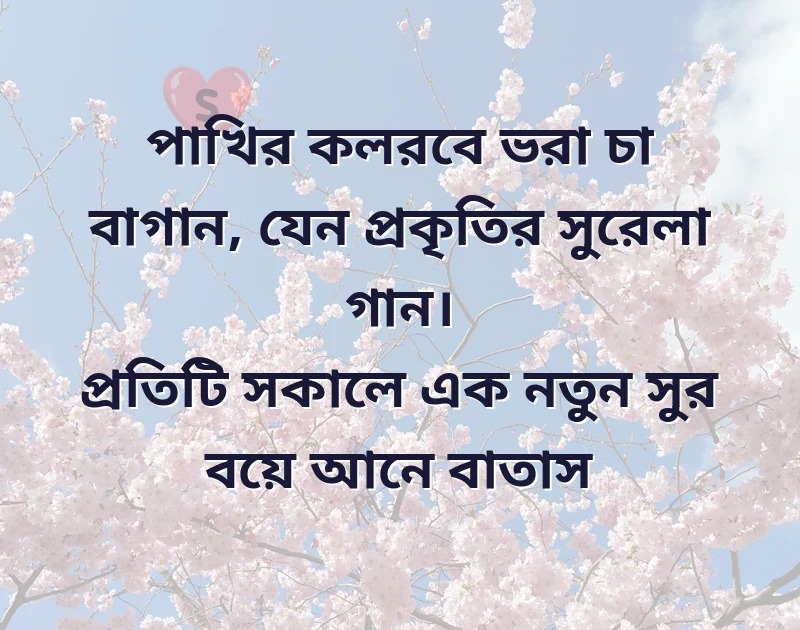সকালে