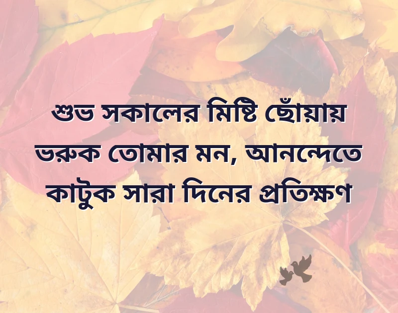 সুন্দর একটি ছবি