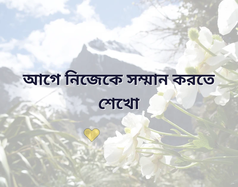 status bangla and english