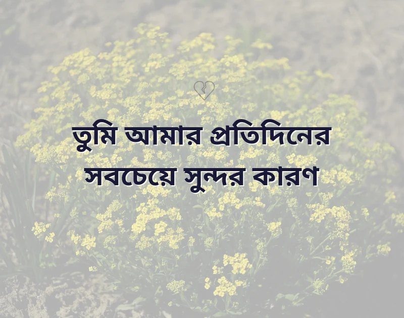 স্ট্যাটাস রোমান্টিক ভালোবাসার উক্তি