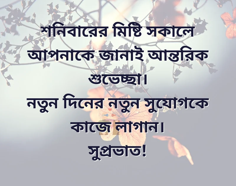 শেয়ার করার মতো ছবি