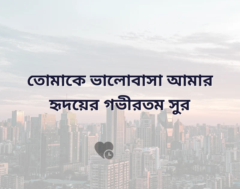 সুন্দর একটি ছবি