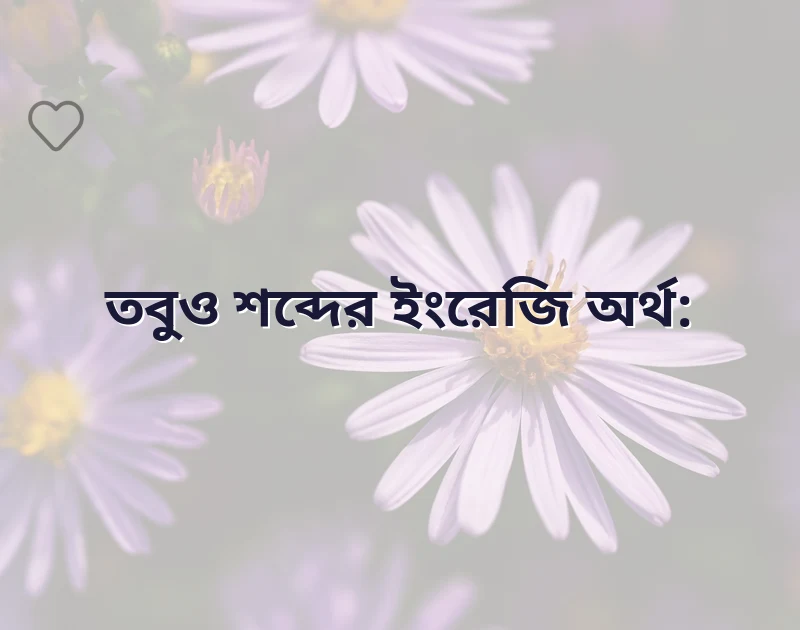 আকর্ষণীয় একটি ছবি