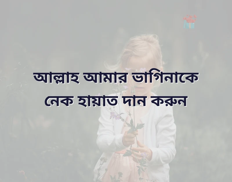 ভাগিনার জন্মদিনের শুভেচ্ছা ইসলামিক