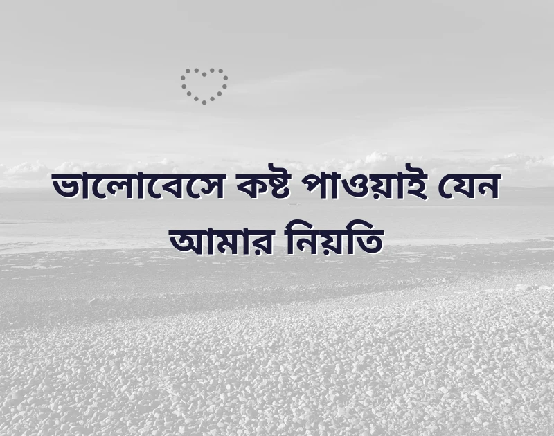 আকর্ষণীয় একটি ছবি