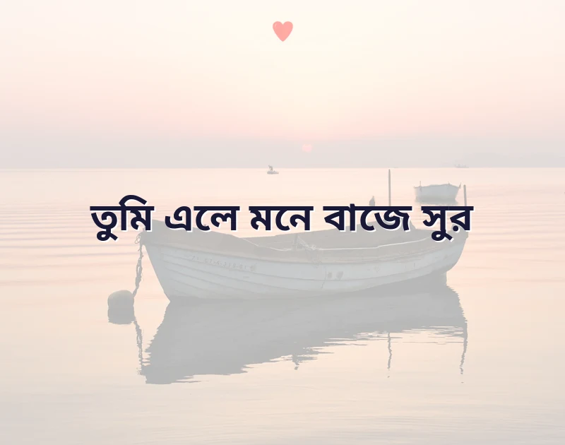 সুন্দর একটি ছবি