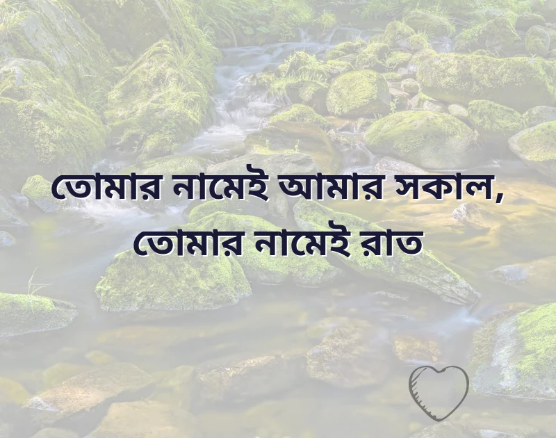 আকর্ষণীয় একটি ছবি