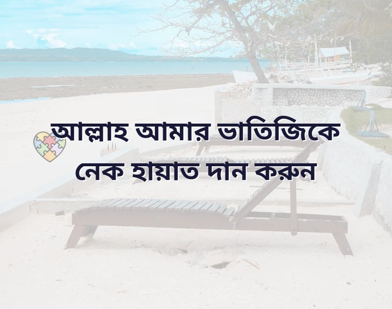 ভাতিজির জন্মদিনের শুভেচ্ছা ইসলামিক