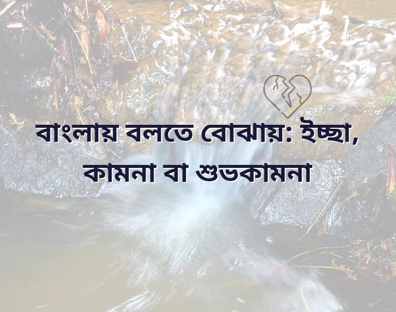wish meaning in bengali